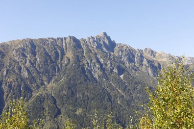 Ormanlık dağlar ama yine de kayalık olanlar