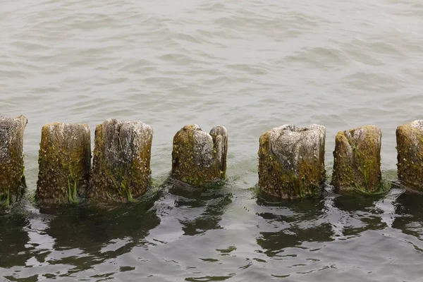 Un rompeolas es visible sobre las tranquilas aguas del mar —  Fotos de Stock