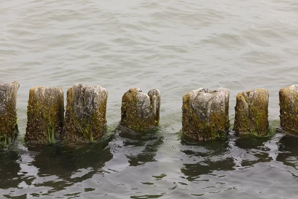 Ein Wellenbrecher ist über dem ruhigen Meer zu sehen — Stockfoto