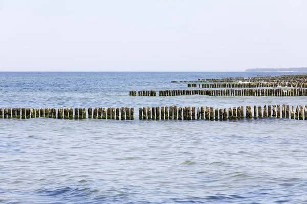 På kysten er der rækker af tykke træpæle - Stock-foto
