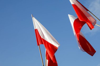 Mavi gökyüzüne karşı Polonya bayrakları var.