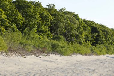 Bir plaj ve bir park arasında bir kumul var