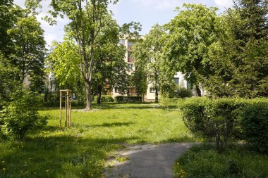 Ağaçlarla çevrili ev