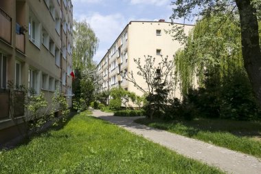 Konut bölgesi ve yemyeşil bitki örtüsü