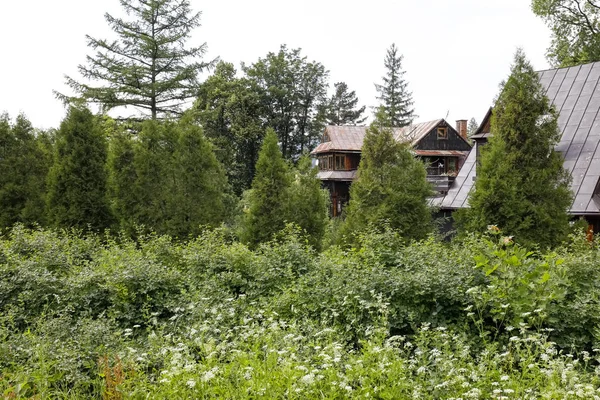 Einfamilienhaus versteckt sich zwischen Bäumen und Sträuchern — Stockfoto