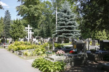 Mezarlık alanında mezarlar var.