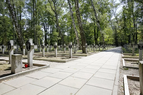 Er zijn vele graven van Poolse soldaten — Stockfoto