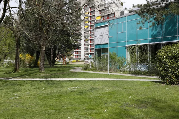 Hay una vegetación en la zona residencial — Foto de Stock