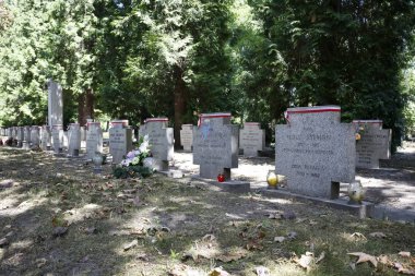 1918-1919 Ayaklanması askerlerinin mezarları