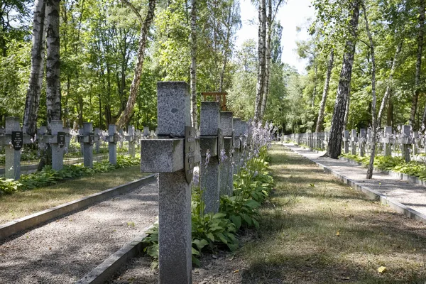 Rows of crosses on the graves of Polish soldiers — Stock Photo, Image