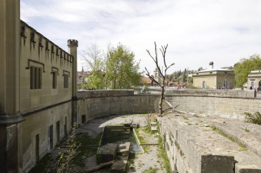 Ayılara adanmış havuz ve oyun alanı