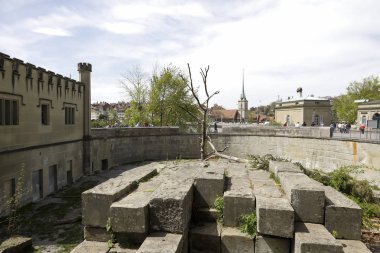 Burası ayılara adanmış bir oyun alanı.