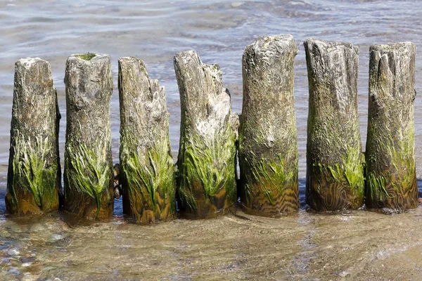 Уже старый гройн в морских водах — стоковое фото