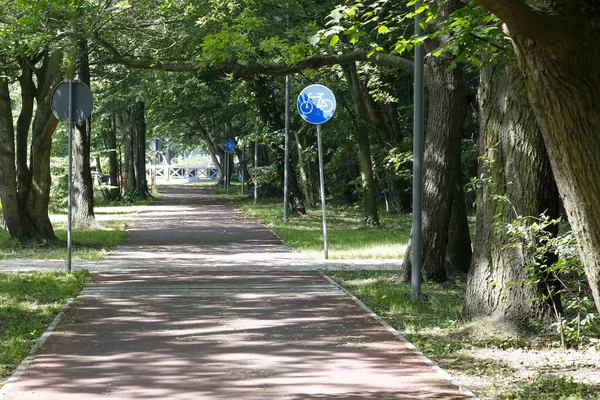 Radweg durch den Park — Stockfoto