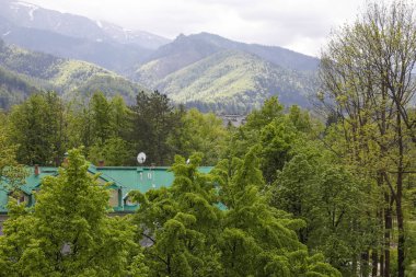 Yeşil tepeler ve şehir dışında kayalık dağlar