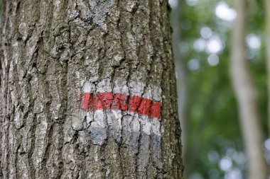 Turist izlerinin renkli bir işareti var.