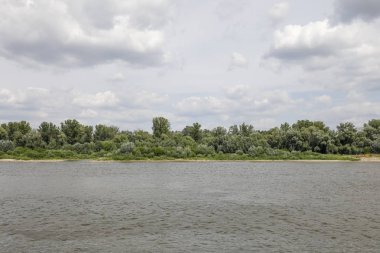 Ağaçların diğer tarafında büyümek