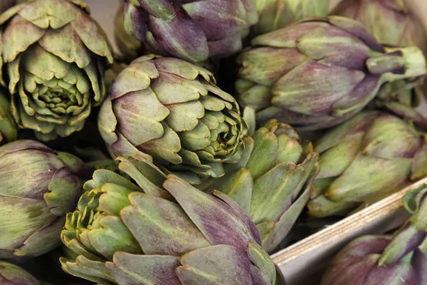 Ripe artichokes has been harvested — Stock Photo, Image