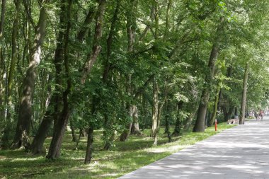 Park boyunca yürüyüş gezinti