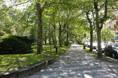 Park boyunca bir kaldırım