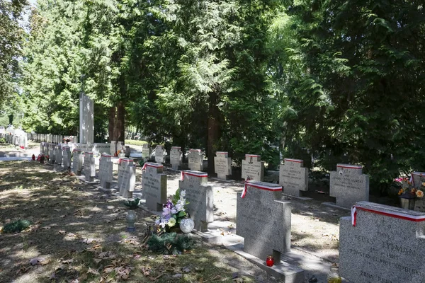 Graves of the soldiers of the 1918-1919 Uprising — Stock Photo, Image