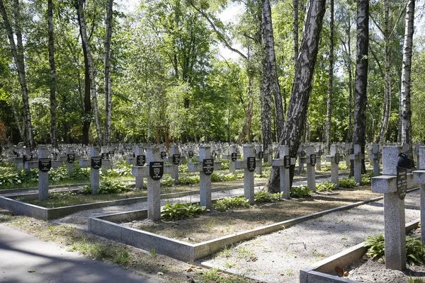 Rows of graves of Polish soldiers — Stock Photo, Image