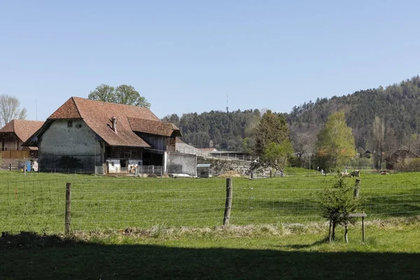 Het gebouw en het weideland — Stockfoto