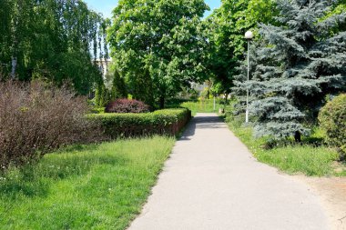 Bereketli bitki örtüsü halka açık bir park oluşturuyor ve tüm bu bitkiler Varşova 'daki Goclaw yerleşim alanını süslüyor. Boş bir yaya yolu var..