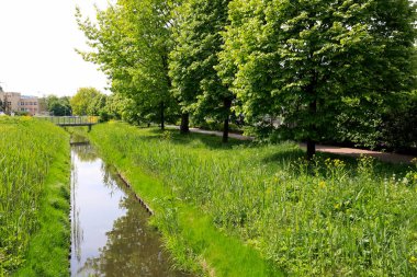 Dar kanal, parkın yemyeşil bitki örtüsü arasında görülür. Burası Goclaw olarak bilinen konutların bir kısmı..