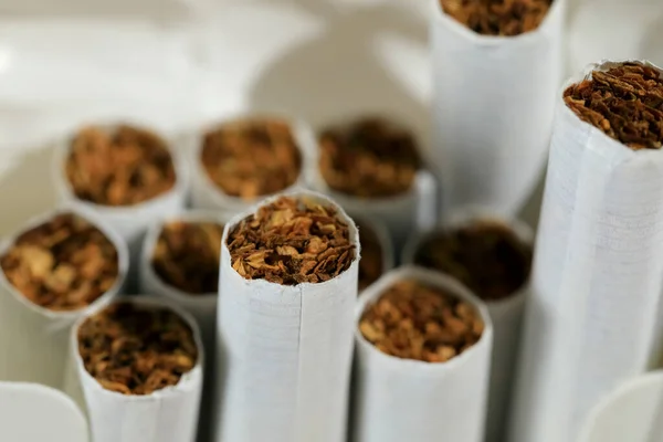 A few cigarettes without filter are in an open package.