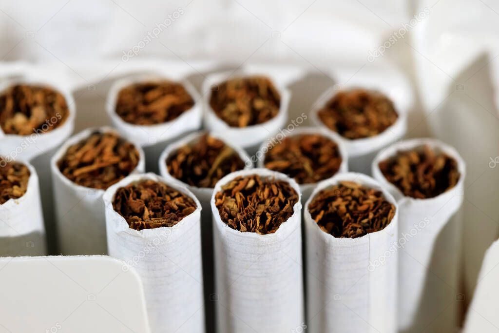 A pack of cigarettes is open and there are several cigarettes without filter.