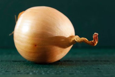 Bir soğan koyu yeşil bir ahşap yüzeyde yatıyor..