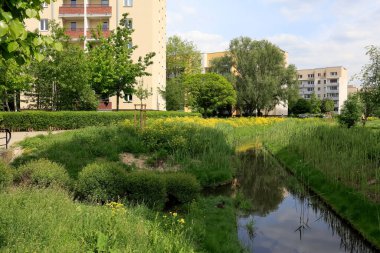 Varşova, Polonya - 15 Mayıs 2020: Çoklu aile konutları civarındaki yemyeşil alanlar Goclaw adlı bir konutun bir parçası.