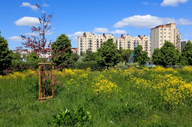 Varşova, Polonya - 22 Mayıs 2020: Arkasında Goclaw konutlarının çok sayıda çok ailelik konut binaları bulunan park alanları.