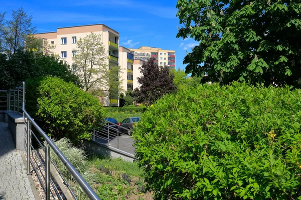 Warschau Polen Mai 2020 Üppige Vegetation Schmückt Und Bietet Den — Stockfoto