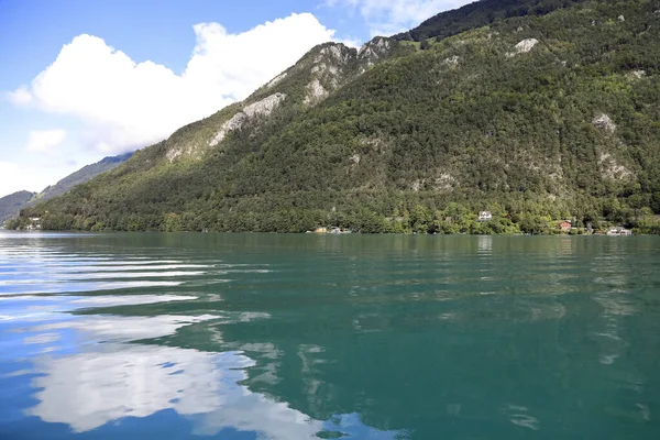 Lucerne Gölü ile Alpler 'in orman kaplı yamacı arasındaki kıyı şeridi. Vierwaldstattersee, Dört Orman Yerleşkesi Gölü.