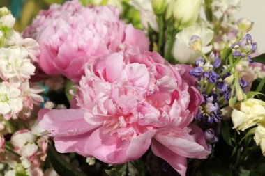 Büyük şakayık çiçekleri diğer çiçeklerin arasında güzel çiçek açar..