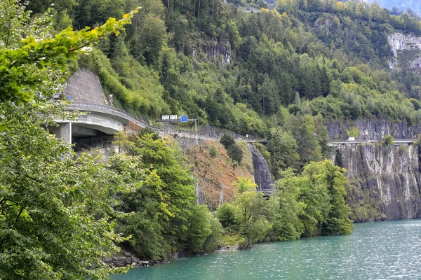 瑞士施维茨州布伦南的卢塞恩湖畔 悬崖上覆盖着树木 沿着湖岸有一条路穿过悬崖 — 图库照片