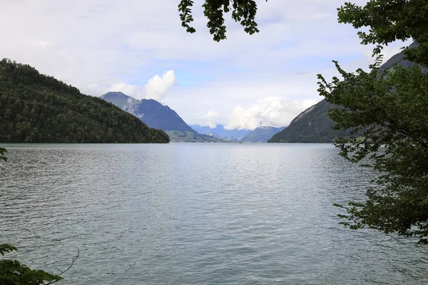 卢塞恩湖和从瑞士施维茨州布伦南看到的山脉 Vierwaldstattersee 四个森林居住区的湖泊 — 图库照片