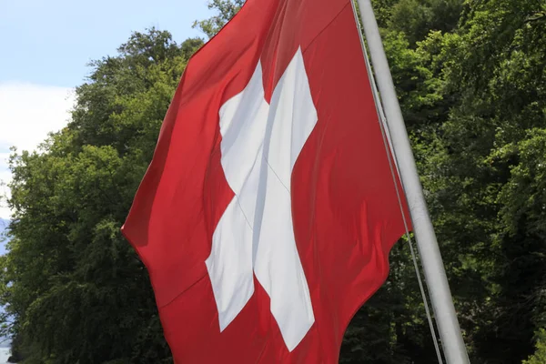 Drapeau Suisse Sur Mât Est Sur Fond Des Arbres — Photo