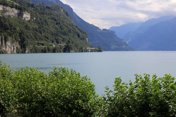树后有一个湖 山峦丛生 这种观点可以在瑞士施维茨州的布伦南看到 — 图库照片