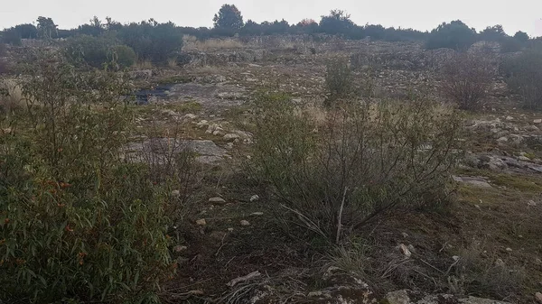 Laagland Landschap Met Struiken Bomen Rotsen — Stockfoto