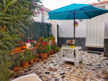 Farklı renklerde güzel çiçeklerle dolu saksılar.