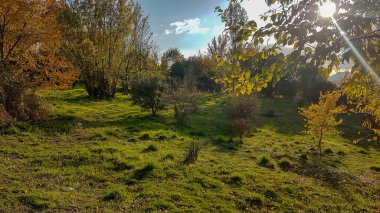 Ağaçlı yeşil çayırlar ve bulutlu mavi gökyüzü.