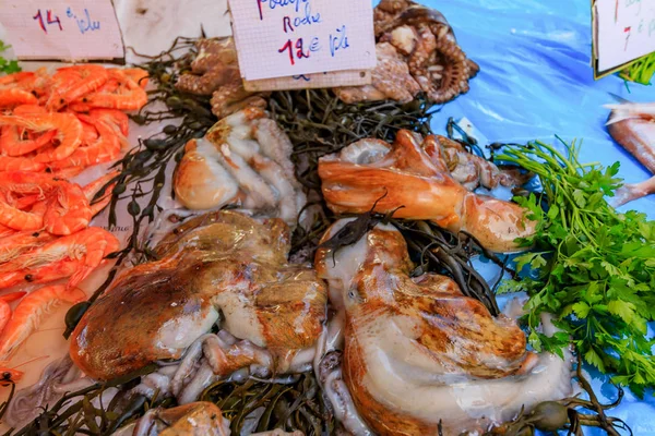 Pulpo Fresco Camarones Expuestos Mercado Pescado Niza Francia —  Fotos de Stock