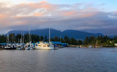 Vancouver, Kanada - 04 Ağustos 2018 - lüks tekneler arka planda Stanley Park ve orman tavuğu dağ batımında kömür Harbor'da demirledi