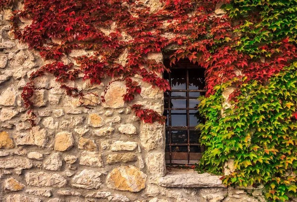 Ivy Ortaçağ Duvar Yılında Ortaçağ Şehrin Pitoresk Eze Village Güney — Stok fotoğraf