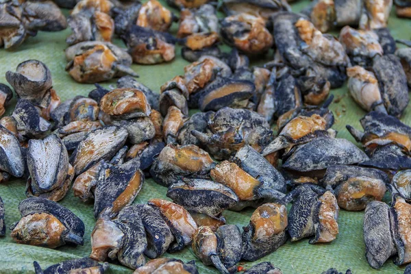 Xiamen Çin Çin Pazarında Ekranda Kurutulmuş Abalone — Stok fotoğraf