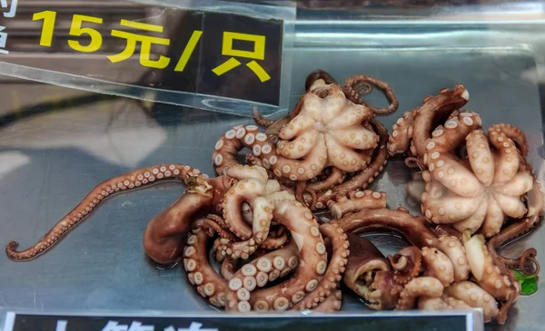 新鲜生章鱼在中国厦门市场展出 — 图库照片