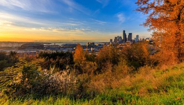 Seattle şehir manzarası ile Dr Jose Rizal Park ön plan görünümden sarı yaprakları sonbaharda batımında